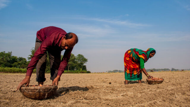 Agriculture durable au Sénégal