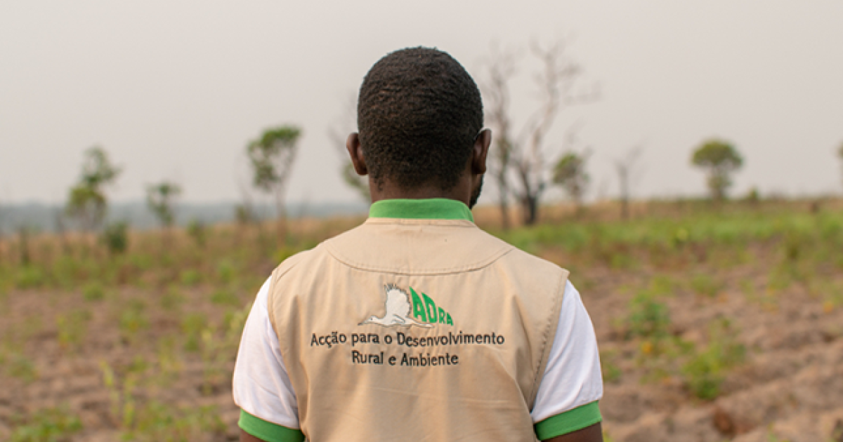 Développement durable en Afrique